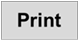 the Print button